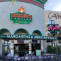 Hussong's Mexican Cantina